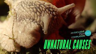 Unnatural Causes (Horror) - FILMDOO EXCLUSIVE COMPILATION - TEASER CLIP