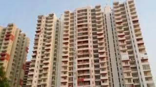 Ace Platinum Zeta 1 Greater Noida, Call@ 9717355054