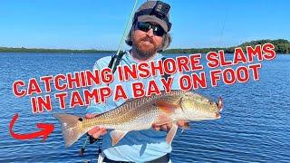 Looking For Inshore Slams In Tampa Bay On Foot [On-The-Water Report]