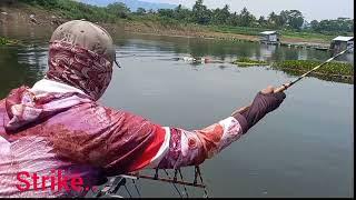 PARA PEMANCING SEBAGIAN STRUKE mancing danao saguling