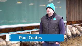 Accuracy with the Racewell Sheep Handler | Paul Coates