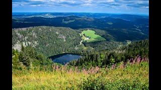 Feldberg - Germany | Top of the Black Forest | Schwarzwald | Feldsee | Virtual Tour