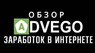 ADVEGO 1-ая Биржа Контента - Обзор. Как зарабатывать деньги в интернете без вложений