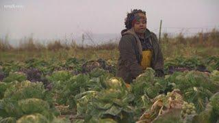 Creating opportunities for black farmers