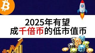 2025年有望成千倍币的低市值币