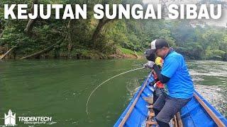 SERUU ‼️ MANCING CASTING KE HULU SIBAU SELALU MENDEBARKAN DAN MENYENANGKAN