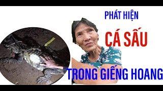 Dân phát hiện con cá sấu bí ẩn nằm trong giếng hoang II ĐỘC LẠ BÌNH DƯƠNG