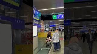 Пока мой бизнес работает на автопилоте, я еду из Австрии в Чехию