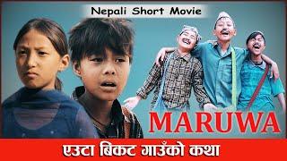 MARUWA nepali short movie 2023  | मरुवा भाग -१ | new nepali movie