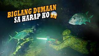 BIGLANG DUMAAN SA HARAPAN KO  | EPISODE 152 | NIGHT SPEARFISHING PHILIPPINES  | Drin's Adventure