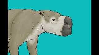 Diprotodon