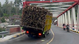 JALUR MALANG LUMAJANG TRUK PASIR VS TRUK TEBU OLENG DI JEMBATAN PERBATASAN MALANG LUMAJANG!!!