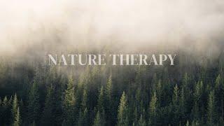 Nature Therapy - 3 minutes of calm