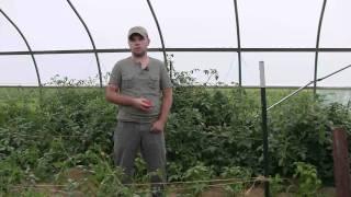 Organic Farmers: Dave & Hans Bishop