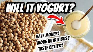 Store-Bought Milk VS Beans Which makes the best vegan yogurt? // Mary's Test Kitchen