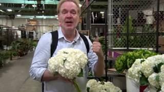 DIY Wedding Flower Design with Michael Gaffney