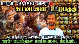 மாதம் 50,000 காடைகள் வளர்ப்பு | காடை வளர்ப்பில் இலாபம் அள்ளலாம் | Quail farming ideas #quailfarming