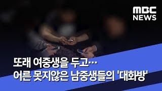 또래 여중생을 두고…어른 못지않은 남중생들의 '대화방'  (2019.12.06/뉴스데스크/MBC)