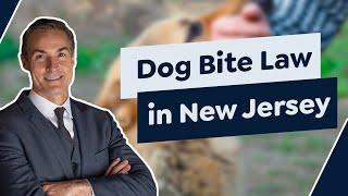 Dog Bite Law in New Jersey