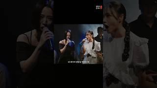 ️천둥호랑이 vs 천둥콩알️| #집들이콘서트 40회 이건 홍보가 아냐