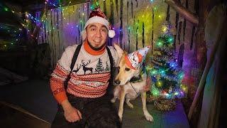 Festive night in a dugout with a four-legged friend. Happy New Year and Merry Christmas!