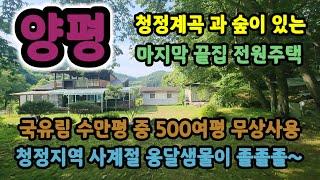 양평 수만평 숲속 토지1,200평 건물 3개동 전원주택 계곡이 있고 국유림 500여평 무상사용 본채38평 별채6평 창고6평 토굴있음 동네 마지막끝집 청정환경  매물번호31589