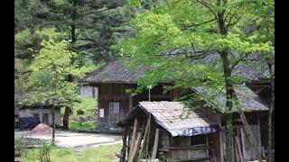 【山居生活】零零後隱居深山，沒有錢，也能過理想的生活