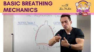 Basic Breathing Mechanics