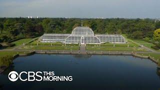 London's Royal Botanic Gardens sit empty amid pandemic lockdown