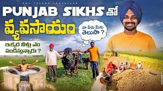 Farmers Life Of Punjab | Sikhs Farmers | Uma Telugu Traveller
