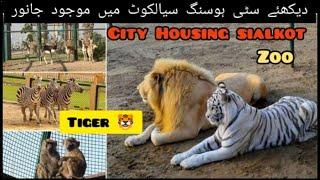 city Housing zoo | part 3 | Hamza Faiz Vlogs | #sialkot #discovery #viral #zoo #dancingfountain #4k