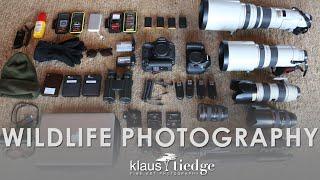 What Gear do you use? | Wildlife Photography with Klaus Tiedge