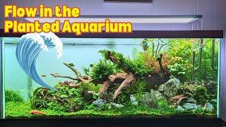 Flow in planted aquarium - Why it's important and how to optimize flow in your planted tank