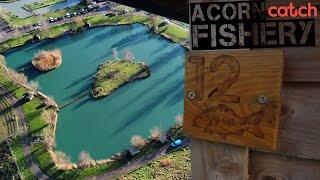 24hrs At Acorn Fishery || Winter Carp Fishing || Martyns Angling Adventures