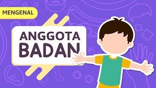 Kartun Anak Muslim : Belajar Mengenal Anggota Tubuh Untuk Anak TK (Video Edukasi Anak) - Yufid Kids