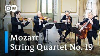 Mozart: String Quartet No. 19, Dissonance | Gewandhaus Quartet