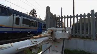 Un po' di treni alla stazione di Acqui Terme