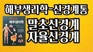 [해부생리학] 말초신경계통, 뇌신경, 척수신경, 자율신경계통