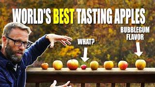 Tasting The Worlds Best Flavored Apples