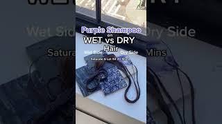 #purpleshampoo on dry hair vs wet hair- u be the judge  #hairhighlights #hairexpert#mattloveshair