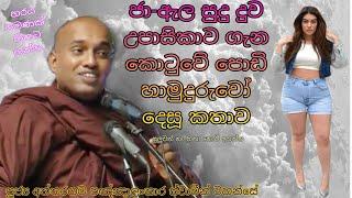 ජා ඇල "සුදු දුව" ගැන Kotuwe Podi Hamuduruwo කියපු හිනායන කතාව.. කොටුවේ පොඩි සාදු Kagama Sirinanda