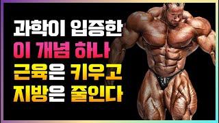 '하체 운동'이 빠른 근성장과 벌크업의 핵심인 이유 (스쿼트와 런지의 중요성)