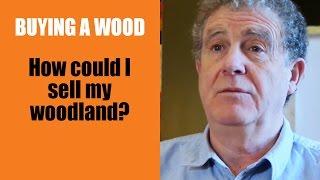 Buying a Wood: How could I sell my woodland?