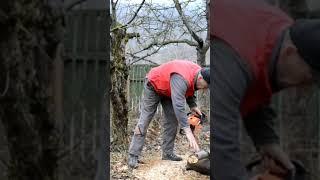 Старая, но все еще исправно работает, хоть и китайская #stihl #chainsaw #husqvarna