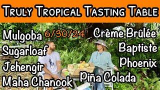 Truly Tropical Tasting Table #2 (June 20, 2024)