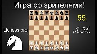 ИГРА СО ЗРИТЕЛЯМИ №55  на lichess.org ШАХМАТЫ.Андрей Микитин.