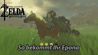 So bekommt Ihr Epona Zelda Breath of the Wild DominoDuo Deutsch