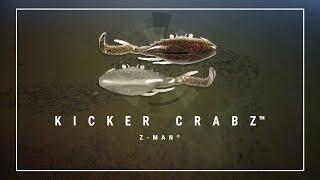 Introducing the KICKER CRABZ