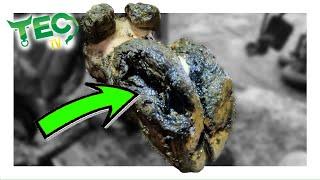 DEEP PROBLEM inside this HOOF