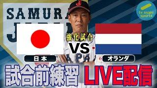 【フル】侍ジャパンシリーズ「日本 vs オランダ」試合前練習《WBCまで１年！代表争いサバイバル》